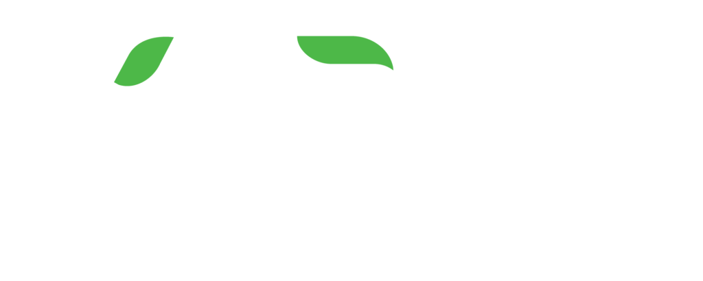 Voraz Tecnologia que conecta ao Futuro
