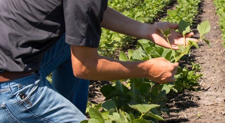 Como acelerar o processo de decisão de compra do produtor rural?