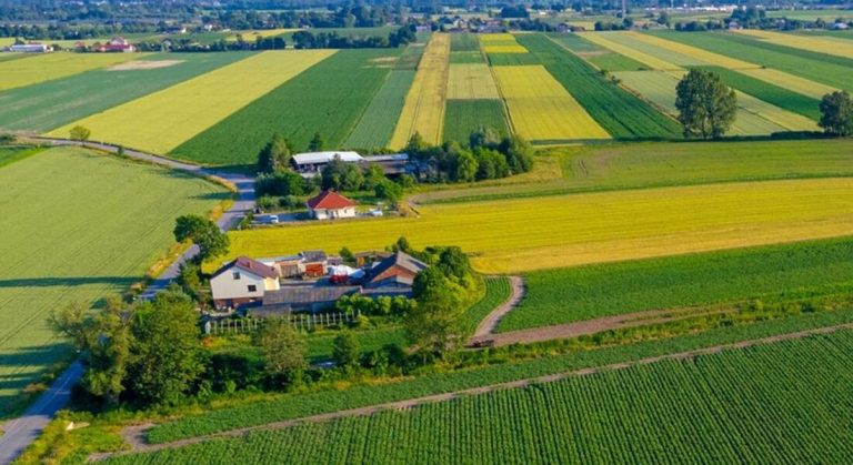 Eficiência no Campo: Voraz RTR e a Geolocalização em Visitas Técnicas